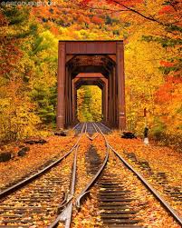 Train Trestle And Autumn Color In White Mountains New Hampshire Autumn Scenery Scenery Fall Pictures