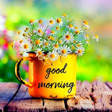 Good Morning Flower Images Quotes