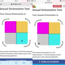 Sexuality is about how you define, how you feel sexual and romantic attractions. I Took The Sexual Orientation Test With My Twin Sister We Are 16 And Here Is The Results Left Is My Sis And Right Is Mine Asexuality