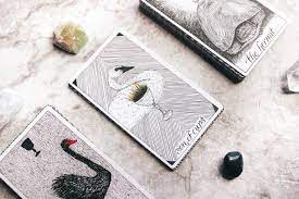 The first card represents your first option, the second card represents the other. One Card Tarot How To Do A Reading Using A Single Card