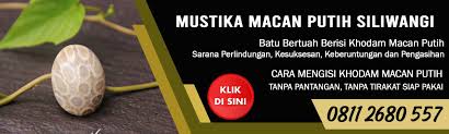 Aug 09, 2018 · mantra doa cara mengisi khodam macan putih ke tubuh. Cara Mengisi Khodam Pada Tasbih Agar Bertuah Dan Berenergi