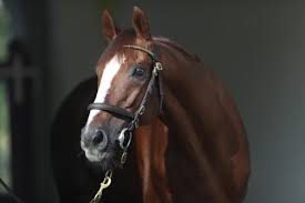 Wenwen Han ultimate collection-every nude and sex scene in one place compiled with excitement