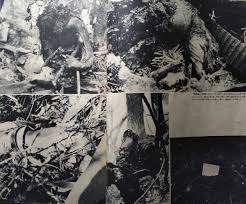 日航機墜落事故日航ジャンボ機墜落の遺体が横たわる衝撃の 現場写真悲劇の記録