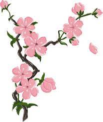 Cherry Blossoms Drawing Blossoms Art Cherry Blossom Drawing Tree Drawing