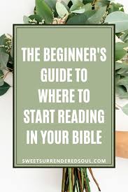 The Beginner S Guide To Where To Start Reading In Your Bible In 2020 Understanding The Bible Bible Study Topics Bible Study Notes