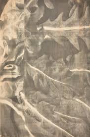 Bildergebnis für Ala D'Amico