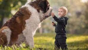 We did not find results for: 120 Nama China Lucu Untuk Anjing Peliharaan Anda Si Binatang