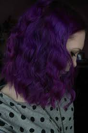 I used arctic fox hair color, they have such vibrant colors & t. 35 Bold And Provocative Dark Purple Hair Color Ideas