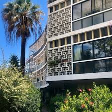 Image result for Faroa duvigneaud