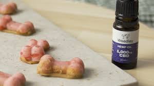 These oils are known as carrying agent oils. Now There S Weed For Your Pet S Ailments As Well Israel21c