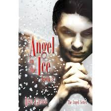 Angel in the Shadows, Book 1: # 1 (Angel Series) (The Angel Series)