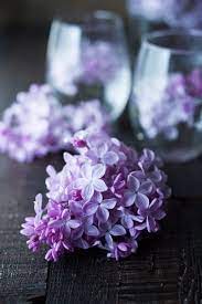 Lilac Water Feasting At Home Recipe Lilac Lilac Blossom Dark Food Photography
