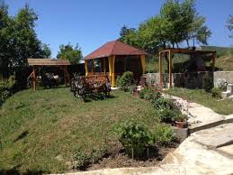 Anunturi imobiliare promovate din covasna. Case Sfantu Gheorghe Judetul Covasna