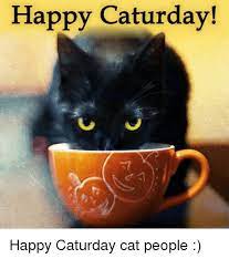 Maybe you would like to learn more about one of these? Happy Caturday Happy Caturday Cat People Caturday Meme On Me Me
