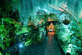 Hours may change under current circumstances Night Bloom In San Francisco At San Francisco Conservatory Of