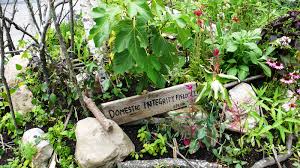 Domestic Integrities Part A-1: New York City, MOMA