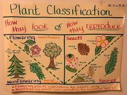 Maybe you would like to learn more about one of these? Plant Classification Anchor Chart Plant Classification Plant Science Science Anchor Charts