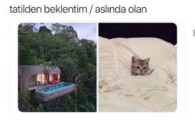 Gokce Isik Adli Kullanicinin Fotograf Cekimi Panosundaki Pin Komik Capsler Komik Komik Alintilar