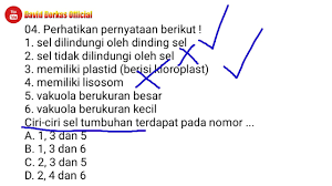 Ciri ciri buah beringin kimeng. Lambat Dalam Sinonim Adalah Sinonim Adalah Persamaan Kata Simak Macam Dan Contohnya