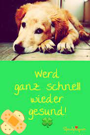 Gute besserung sagen auf die schöne art. 17 Gute Besserung Wunsche Bilder Spruche Videos Spruche Zitate Gifs Bilder