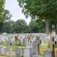 Mt. Hope Cemetery Trek