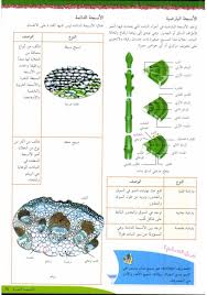 أطلس الأحياء free download borrow and streaming internet archive internet archive the borrowers free download