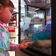 Maybe you would like to learn more about one of these? Petco Keene Nh