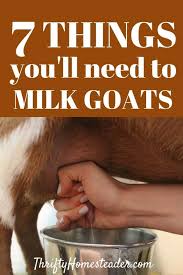 7 Things You Need for Milking Goats