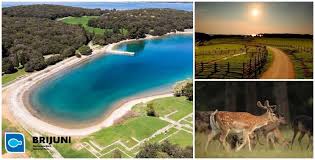 Brijuni su otočje i nacionalni park u jadranskom moru, na hrvatskom dijelu jadrana, a sastoje se od 3 otoka i 11 otočića. Hotel Istra 3 Brijuni