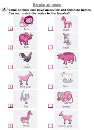 Grade 2 Grammar Lesson 7 Nouns Masculine And Feminine Grammar Lessons Grammar Kindergarten Worksheets