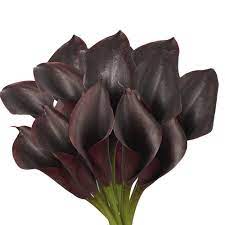 Usually ships within 6 to 10 days. Amazon Com Globalrose 10 Stems Of Dark Purple Color Calla Lilies Fresh Flowers For Delivery Grocery Gourmet Food