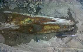 Los hechos se registraron a las 2:40 h. Denuncian El Trafico De Piezas Paleontologicas En Chihuahua El Sol De Mexico Noticias Deportes Gossip Columnas
