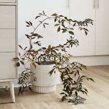 West elm's modern plant pots & planters bring a bit of nature indoors. Fluted Indoor Outdoor Planters