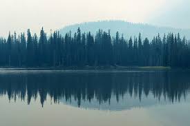 Elle occupe 10 % de la superficie du canada. Colombie Britannique Tourisme Et Visites En 2021 Les Meilleures Informations Pour Colombie Britannique Tripadvisor