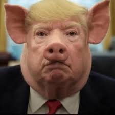 For consumers, the average price of a pound of ground beef rose to $6.12 in  June, up nearly 12% from a year ago, according to U.S. government data.