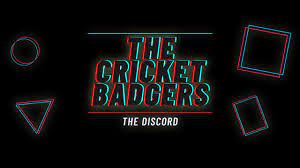 THE BEST CRICKET DISCORD SERVER! | The Cricket Badgers - YouTube