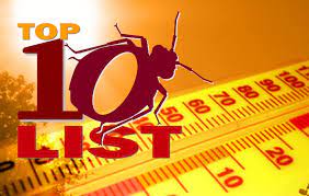 How To Get Rid Of Bed Bugs Bad Idea 3 Diy Heat Thrasher Termite Pest Control