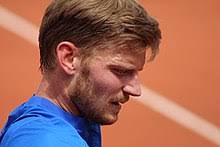 Official tennis player profile of david goffin on the atp tour. David Goffin Wikipedia