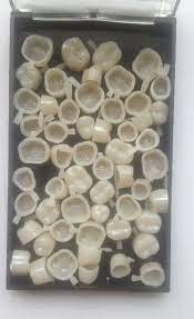 Synthetic Resin New Dental Temporary Crowns For Posterior Molar Polycarbonate Cap Veneer Crown Acrylic Denture Denture Temporary Crown Dental