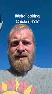 Weird Looking Chickens!!!#creatorsearchinsights #smallfarm #farmlife #...