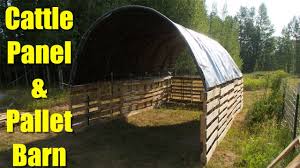 I needed to build some saw horses for a project in the house so i came up with the simplest idea i could.please support my channel by subscribing. Building A Barn Milking Parlor From Pallets And Cattle Panels Youtube