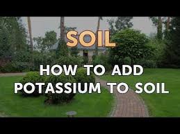We did not find results for: How To Add Potassium To Soil Youtube