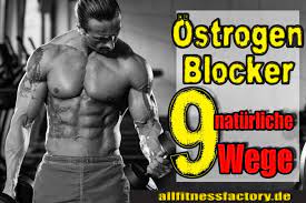 Ostrogen Blocker 9 Naturliche Wege Fett Zu Reduzieren Neu