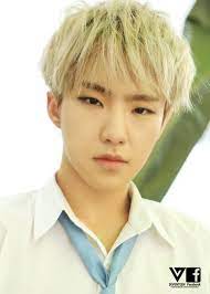 Kwon soon young (권순영) date of birth: Hoshi Seventeen Facts And Profile Hoshi S Ideal Type Updated