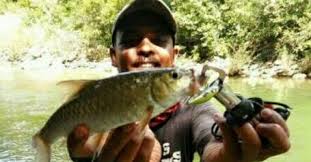 Ikan nila juga bisa memakan sisa dapur dan buah buahan setelah pemanenan selesai, jangan lupa. Wajib Tahu 7 Point Penting Memancing Ikan Besar Di Sungai Jejaksemut