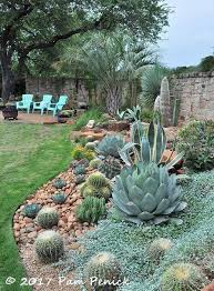 There are over 200 species of cacti and are among the most commonly grown in the home. Matt Shreves S Garden Near Lake Travis Near Austin Tx A Succulent And Cactus Wonderland Succulent Landscape Design Rock Garden Landscaping Arizona Backyard