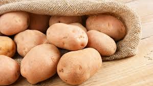 Doch ab wann sind ausgetriebene kartoffeln giftig? Kartoffel Geschichte Der Siegeszug Der Teufelsknolle Br Wissen