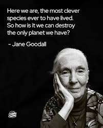If we're so smart, why are we destroying the only planet we have? Jane  Goodall once said: “Here we are, the most clever species ever to have  lived. So how is it