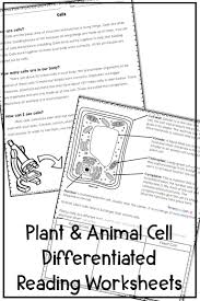 What did you learn about plant cell and animal cell. Plant And Animal Cell Activities Cells Worksheet Text Features Worksheet Plant Cells Worksheet