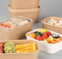Rectangular Paper Bowl-100% Food Grade Pulp -YANXIYAN
